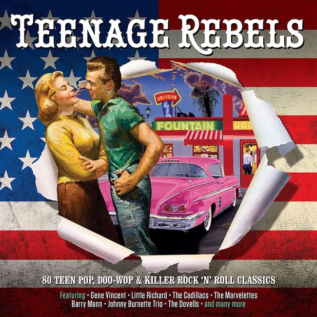 V.A. - Teenage Rebels ( 3 cd's )